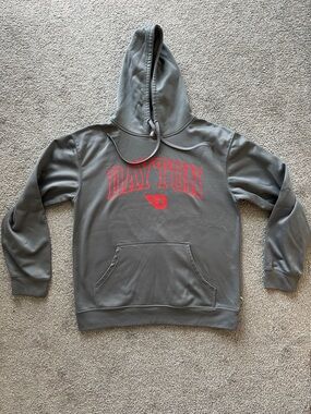 Dayton Hooded Sweatshirt in Gray with Red Logo